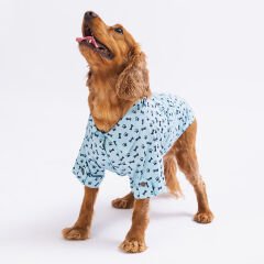 Ossa Köpek Gömleği Küçük ve Orta Irk Köpeklere Özel Mavi