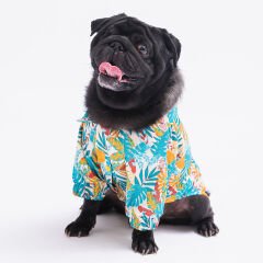 Folia Köpek Gömleği Küçük ve Orta Irk Köpeklere Özel Desenli