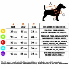 Polo Yaka Karpuzlu Küçük ve Orta Irklara Özel Sarı Köpek Tişörtü