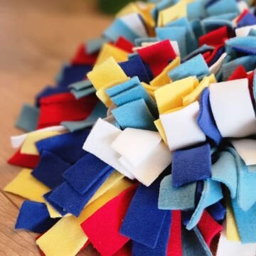 Köpek Koklama Matı Köpek Koku Matı Köpek Eğitim Matı