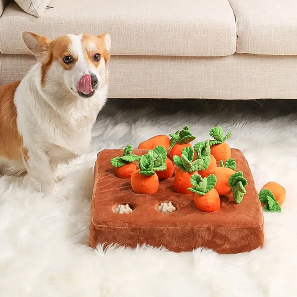 Köpek Koklama Matı Köpek Koku Matı İnteraktif Oyuncak Havuç