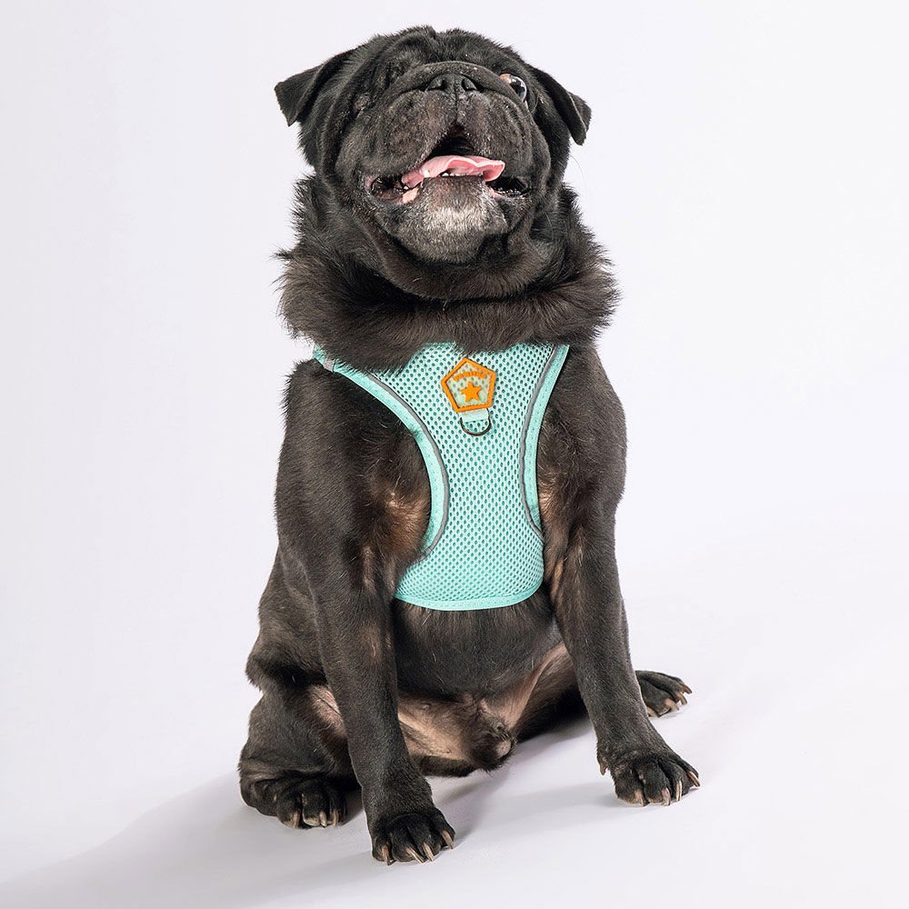 Köpek Göğüs Tasması Air-Mesh Köpek Göğüs Tasması Mint