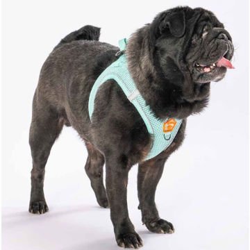 Köpek Göğüs Tasması Air-Mesh Köpek Göğüs Tasması Mint
