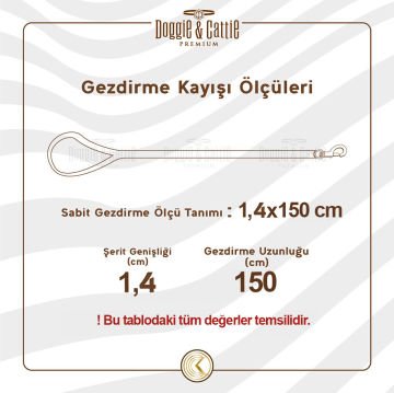 Köpek Eğitim Gezdirme Kayışı El Yapımı 4 Örgülü Yağlı Deri Kahve