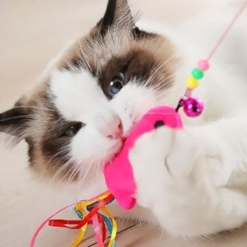 Kedi Oltası Balıklı 90 cm