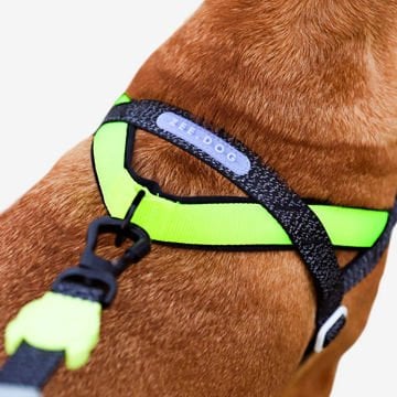 Köpek Tasması NOX Softer Walk Köpek Göğüs Tasması