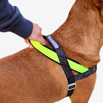 Köpek Tasması NOX Softer Walk Köpek Göğüs Tasması