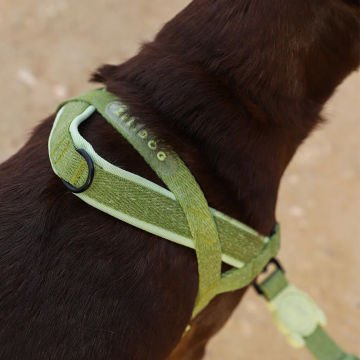 Köpek Tasması Moss Softer Walk Göğüs Tasması