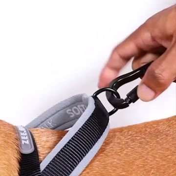 Köpek Tasması Moss Softer Walk Göğüs Tasması