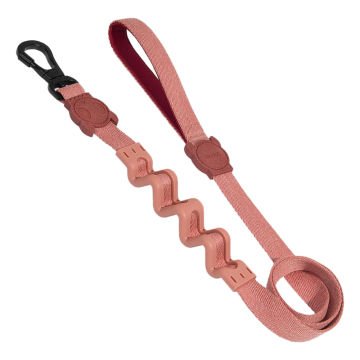 Canyon Ruff Köpek Gezdirme Kayışı