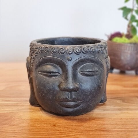 Buda Saksı Dekoratif Beton Saksı Siyah Orta