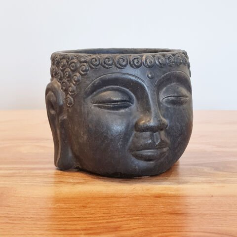 Buda Saksı Dekoratif Beton Saksı Siyah Orta