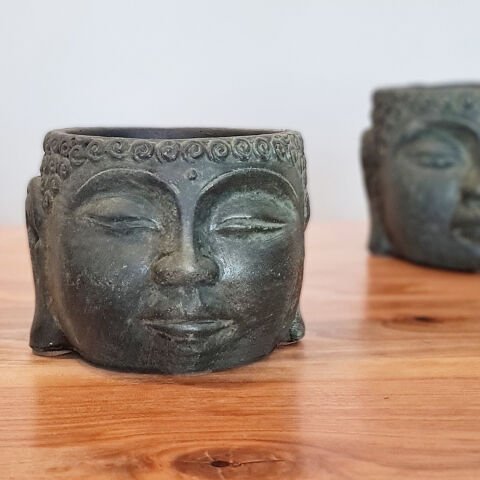 Buda Saksı Dekoratif Beton Saksı Yeşil Büyük