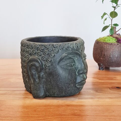 Buda Saksı Dekoratif Beton Saksı Yeşil Büyük
