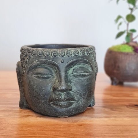 Buda Saksı Dekoratif Beton Saksı Yeşil Büyük