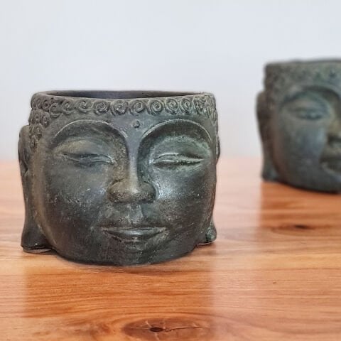 Buda Saksı Dekoratif Beton Saksı Yeşil Orta