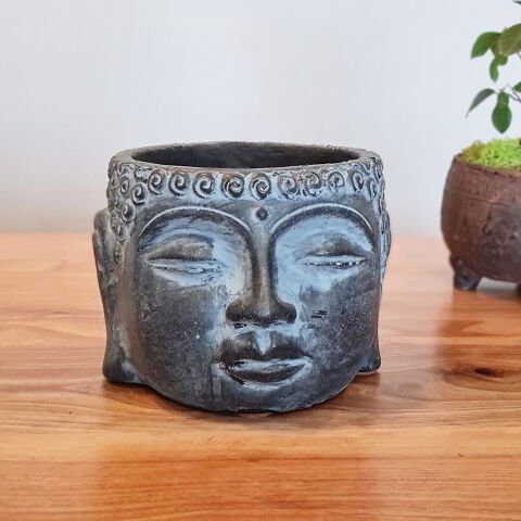 Buda Saksı Dekoratif Beton Saksı Mavi Orta