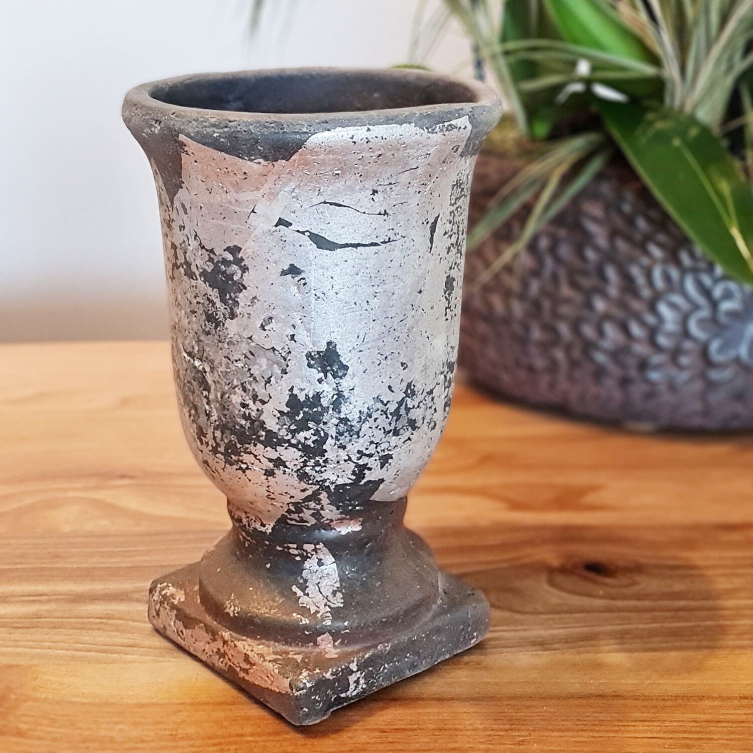 Kupa Saksı Beton Dekoratif Saksı Gri